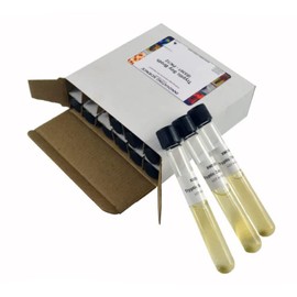 ALDON - Innovating Science Tryptic Soy Broth Tubes, Pack of 12 - Sterile Microbiological Culture Media - The Curated Chemical Collection