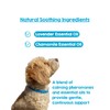PAWD Calming Collar for Dogs – Vet Recommended Anxiety Relief