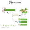 Forzagen Essentials Pre&probiotics 60 Caps | 10 Billones Ufc Sin