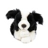 Teddys Rothenburg Cuddly Toy Dog Border Collie 30 cm Lying