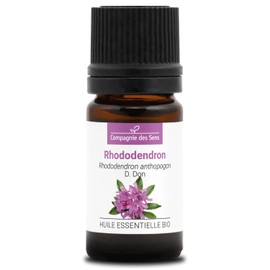 Rhododendron (Rhododendron Anthopogon) Organic - 5 ml - Premium Quality Essential Oil - 100% Pure, Natural, Chemotyped & Full Spectrum