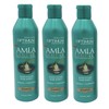 SoftSheen-Carson 3 Pack SoftSheen Amla Legend Rejuvenating Body Filler Hair