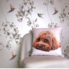 The Beach Stop Decorative Cockapoo Dog Scatter Cushion Cover |