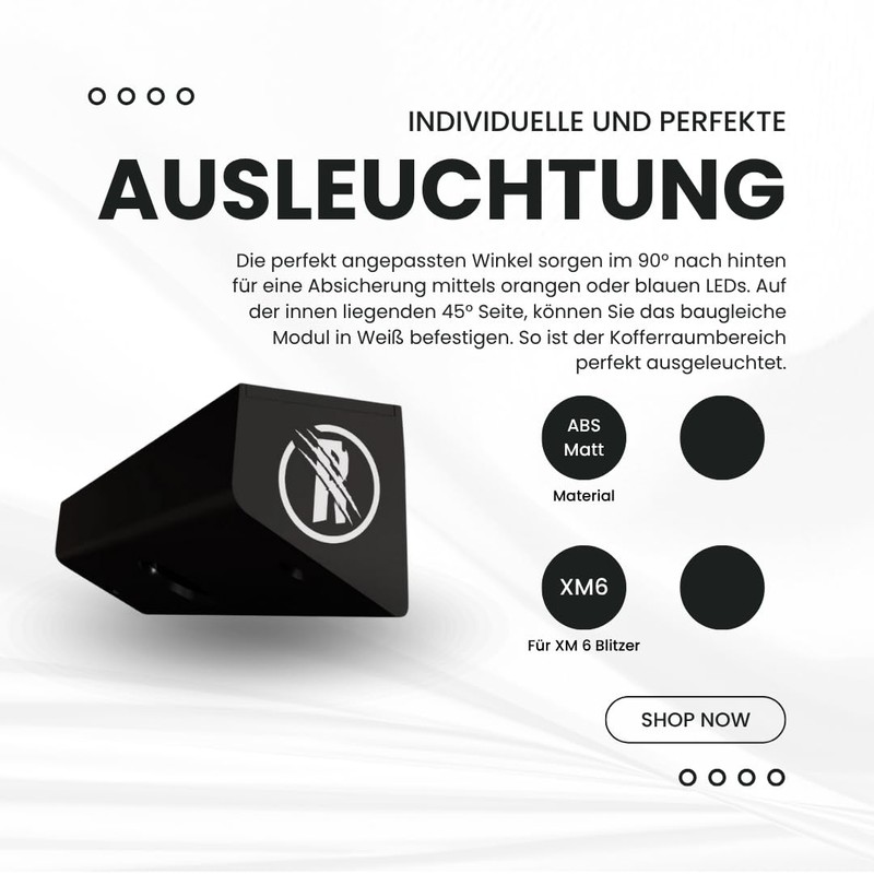 Tailgate Module - Lighting/Protection by Raptors LED Technik | Rear