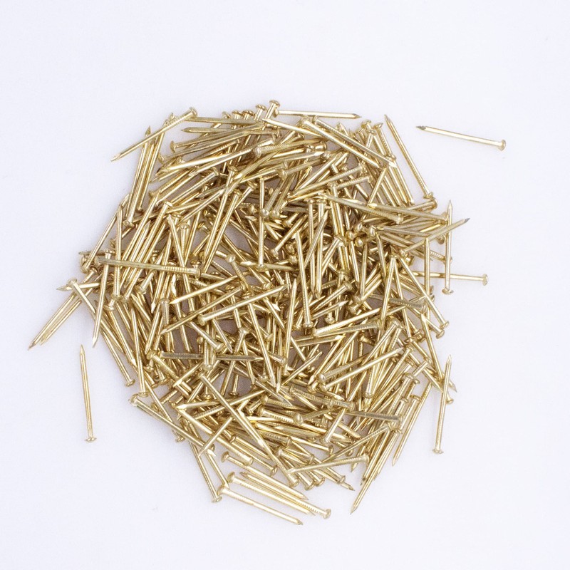 OMOTOOL Iron Brass Plated Nails(300 pcs),Round Head Nails (25MM)