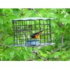 Erva Starling-Proof Barrier Guard Bluebird Feeder with Glass Mealworm Cup