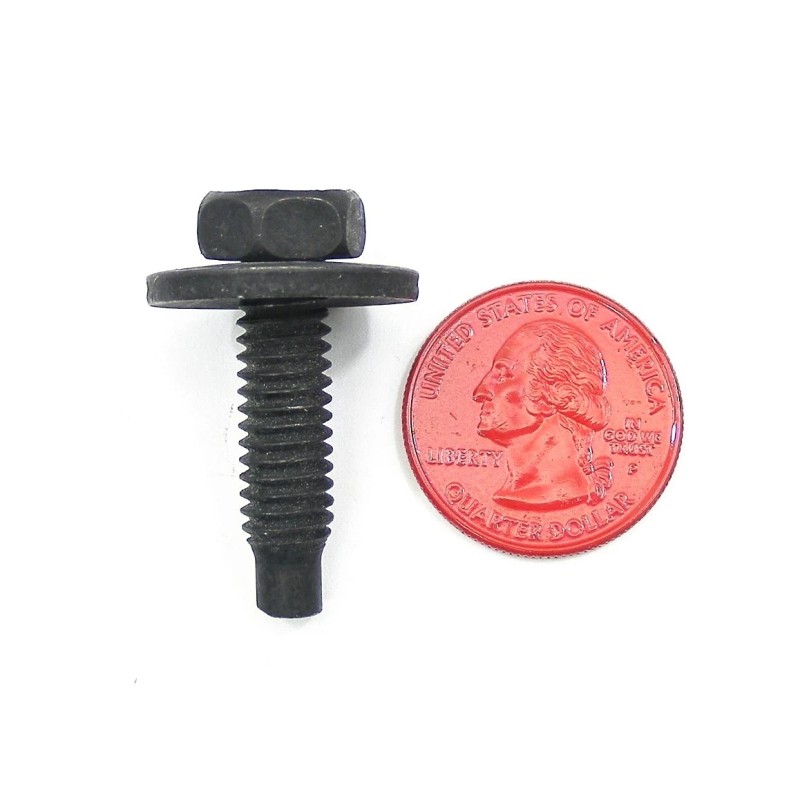 SFS Ford 5/16" Body Bolts & U-nut Clips- 5/16-18 x
