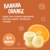 Earth's Best Organic Banana Orange Pouch, 3.5 oz (Pack of
