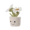 Apricot Lamb Plush Toy Plant Daisy Daisy Plush Toy Plush