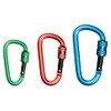 Carabiner with screw cap