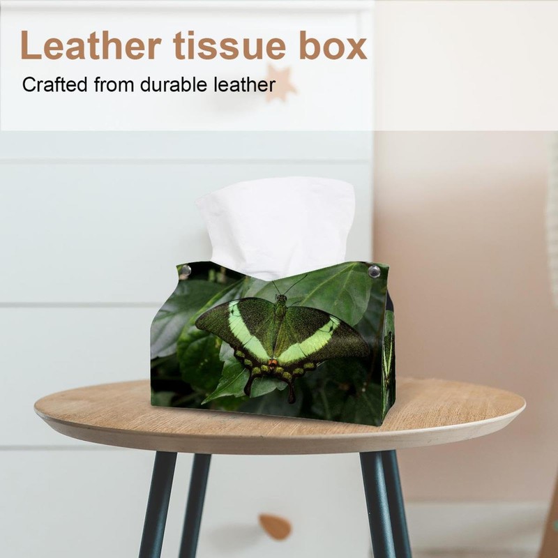 2 Pack Tissue Box Cover Holder, Frog Character Green Vector