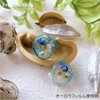 Princess-style Trend Nail & Resin Parts Aurora Film Butterfly Dried