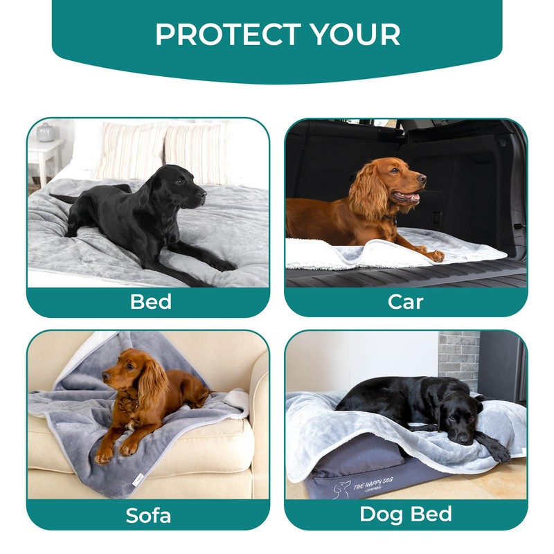 Waterproof Dog Blanket Washable (L) - Easy Clean, Premium, Soft