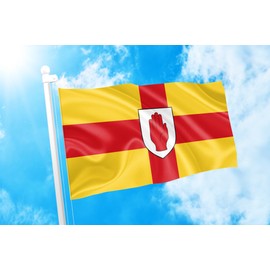 DMSE Ireland Ulster Irish Province of Flags 3X5 Ft Foot 100% Polyester 100D Flag UV Resistant (3' X 5' Foot)
