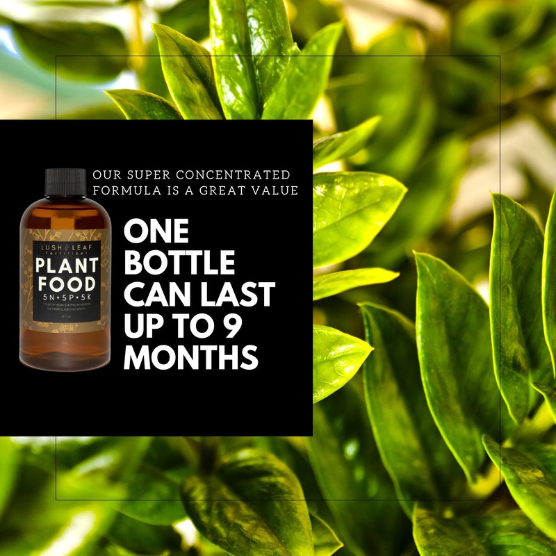 Lush Leaf | Plant Food (Indoor)