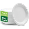 Super Rigid Disposable Plates (7 Inches) (Pack of 100) 100%