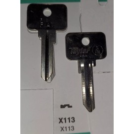 Taylor Fiat X113, NE56, Vintage Key Blank.