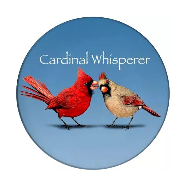 Fashion Jewelry RED CARDINAL BROWN QUOTE BIRD TOGETHER Large Pendant