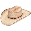 Ariat Unisex A73106 Fired Palm Brown Hat 7