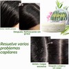 Champú Con Jengibre Para El Crecimiento Del Cabello