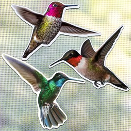 Konohan 3 Pairs Hummingbird Screen Door Magnets Double Sided Patio Flexible Magnetic Screen Saver Decorative Retractable Window Magnetic Decals for Sliding Patio Door(Fresh)