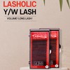 Rashholic Lashholic eyelashes velvet bristle velvet W lash 3D lash