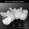 500pcs-White Rooster Feathers 3-5inch Bulk Feathers for Crafts DIY Dream