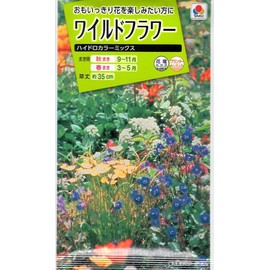 Takii Seedlings Wild Flower Hydro Color Mix