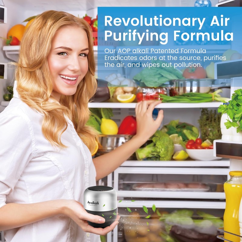 Fridge Deodorizer – 1 Pack Refrigerator Odor Eliminator, Lasts 10