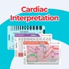 EKG Badge Card Set – 3-Piece Quick Reference for 12-Lead