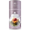 Té Floreciente 12 sabores de frutas – Bolas artesanales que