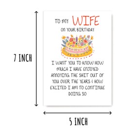 To My Wife On Your Birthday - Naughty Birthday Celebrate Card - Wife Greeting Card - Anniversary - Unique Greeting For Her