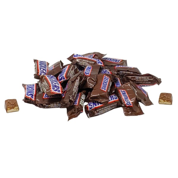Snickers Fun Size Chocolate Caramel Candy Bars - 1 LB Resealable Stand Up Bulk Candy Bag (approx. 25 pieces) - Bulk Filler Candy for Holidays and Parties