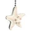 Realistic Large Starfish Fan Pull - Beach Ocean Seashell Shell Coastal Nautical Decor