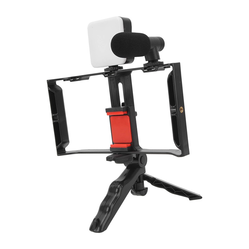 Phone Live Streaming Kit with Fill Light Microphone Sound Cable