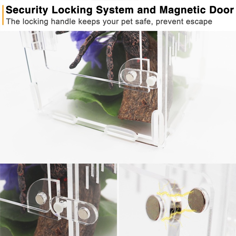 Jumping Spider Enclosure, Spider Terrarium, Acrylic Enclosure Kit, Small Terrarium,