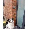 Metzler Doorbell Stainless Steel – Anthracite RAL 7016 – Includes