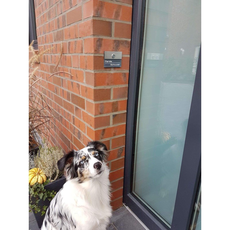 Metzler Doorbell Stainless Steel – Anthracite RAL 7016 – Includes