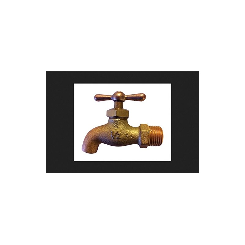 Campbell MIP Brass Ball Sampling Valve