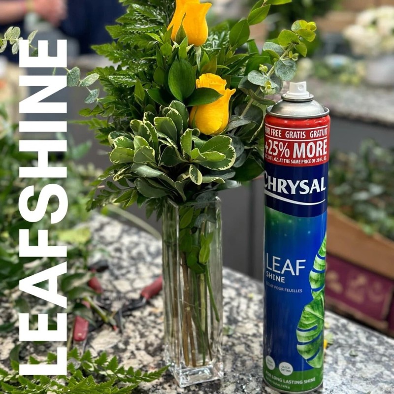 Chrysal Leaf Shine Spray for Indoor Plants (25 Ounce 1