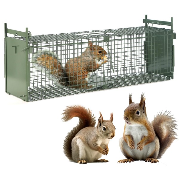 26" 2-Door Live Animal Traps for Stray Cats up to
