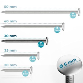 FIXXIA Picture Nails with or without Impact Aid, 30 Pieces Diameter 2 mm, Black with Gold or Silver Decorative Head Diameter 6 mm, 20, 25, 30, 40, 50 mm, Concrete Nails, Wall Nail (Silver, 30 mm)