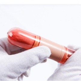 Brush portable shading makeup full set multi brush product 20s women set 10ea