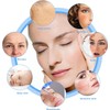 Pack of 10 Sponges Face, Face Sponges Cosmetics, Face Sponge