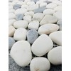 Tenedos Grey and Carrara Pebbles Marble Stone Mosaic Floor &