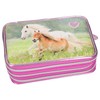 Depesche 10532 Pencil Case 3 Compartments Horses Dreams Pink Multi-Coloured,