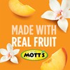Mott’s Fruit Smoothies Vanilla Peach, 4.2 oz clear pouches, 24