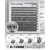 Flaunt Cluster Lashes Short 8-14MM Eyelash Clusters Wispy Lash Clusters