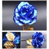 TINYOUTH 24k Gold Forever Rose, 24K Blue Rose Gold Plated