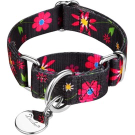 Dazzber Martingale Collars for Dogs, Adjustable, Heavy-Duty, Soft, Smooth, Easy Dog Walking, for Large/Small Dogs
